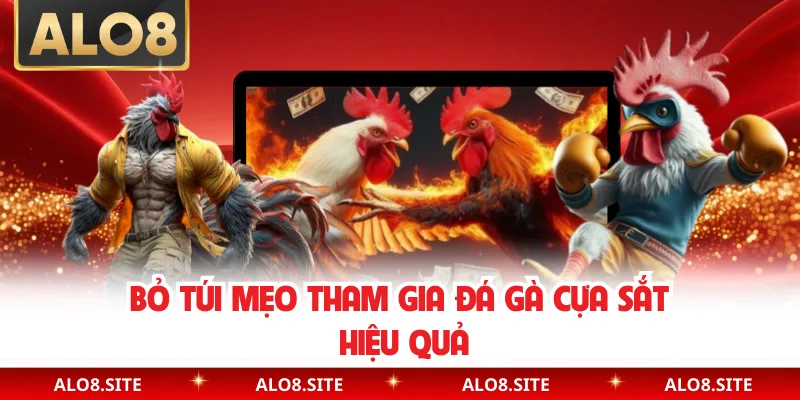 Bỏ túi mẹo tham gia đá gà cựa sắt hiệu quả
