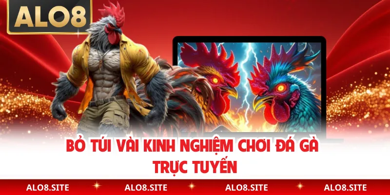 Bỏ túi vài kinh nghiệm chơi đá gà trực tuyến