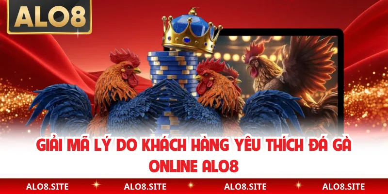 Giải mã lý do khách hàng yêu thích đá gà online Alo8