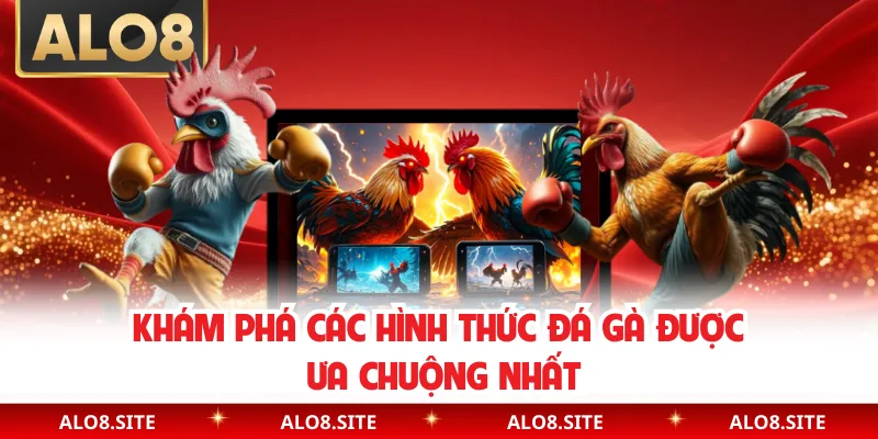 Khám phá các hình thức đá gà được ưa chuộng nhất